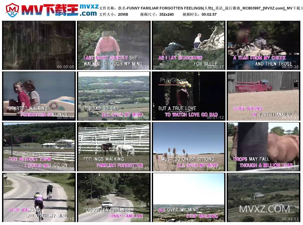 佚名-FUNNY FAMILIAR FORGOTTEN FEELINGS(人物)_英语_流行歌曲_MC803997